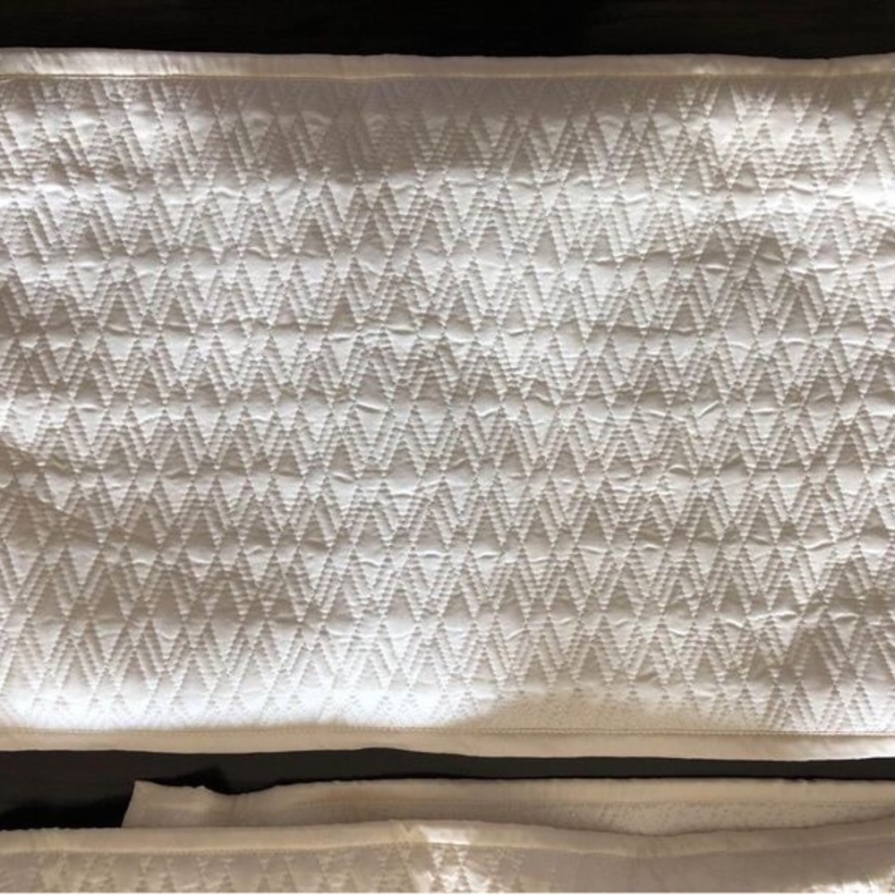Silk Restoration Hardware Pillow Covers